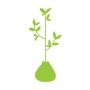 tree-planting
